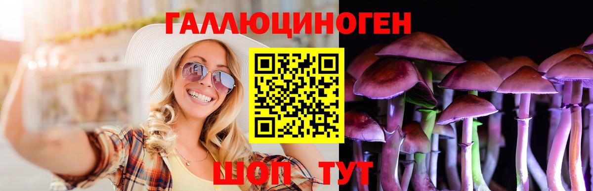 Зеленогорск  наркошоп  Вход с VPN  Галлюциногенные грибы прущие грибы  Галлюциногенные грибы ЛСД 